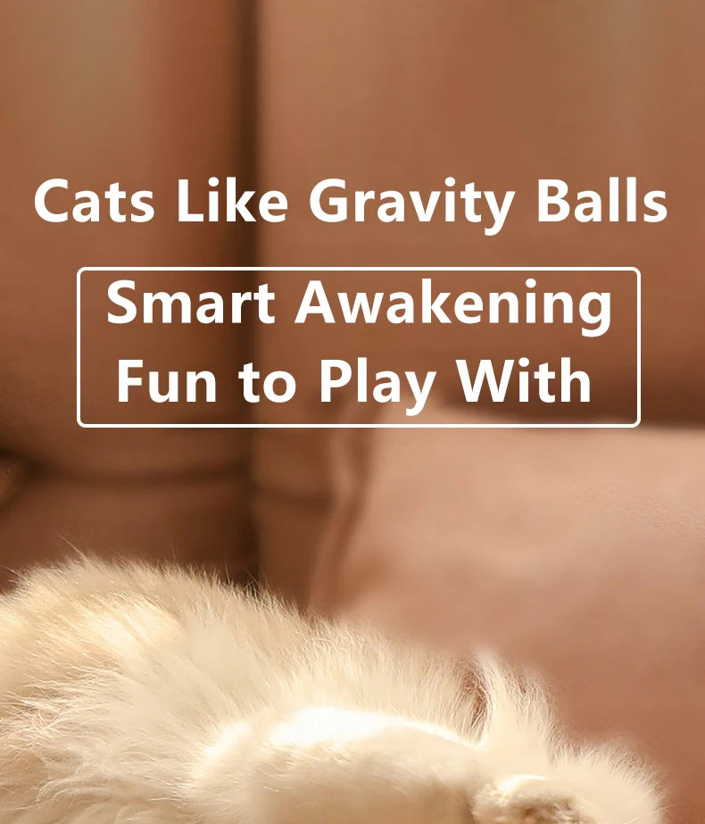 2PCS Cat Interactive Ball Indoor Automatic Rolling Magic Ball Smart Cat Toys Electronic Interactive Cat Toy Cat Game Accessories